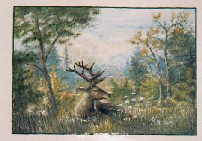 hirsch